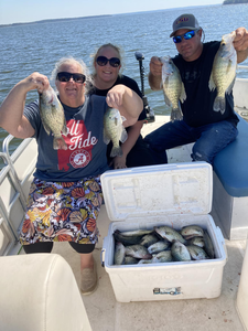 Awesome Catch From Sam Rayburn 